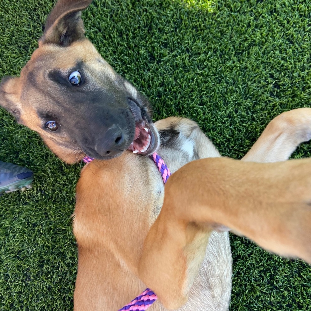 Meet your Posher, Anna